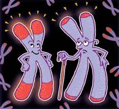 Секрет молодости и продления жизни - Регенерация Т_0.jpg